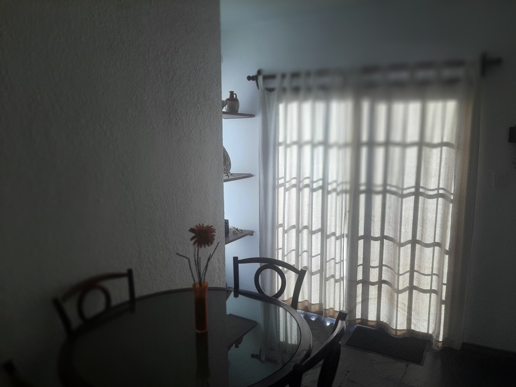 COMODA FINCA  CON AMPLIO FONDO